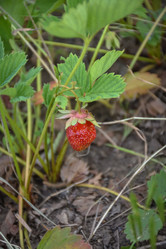 Similar image 21457124