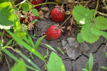 Similar image 21457125