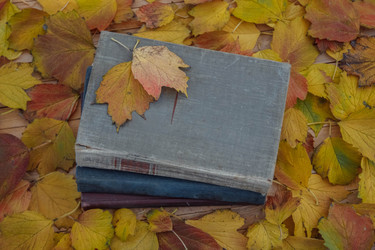 Similar image 21464863