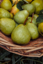 Similar image 21464865