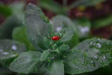 Similar image 21464867