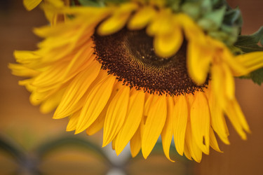 Similar image 21457214