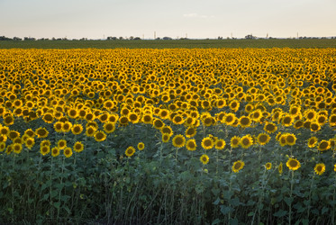 Similar image 21454557