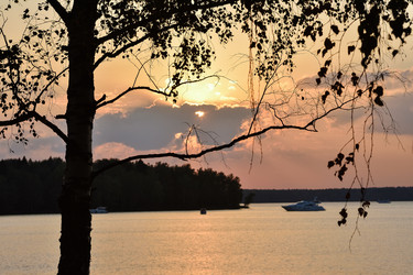 Similar image 21454558