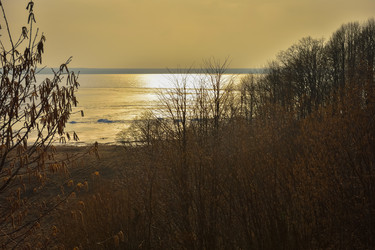 Similar image 21455142