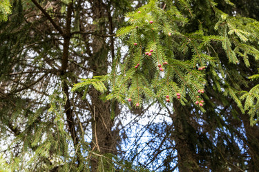 Similar image 21446826