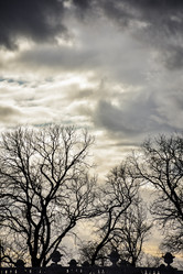 Similar image 21455157