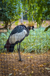 Similar image 21455164