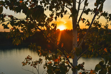 Similar image 21455170