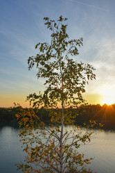 Similar image 21455172