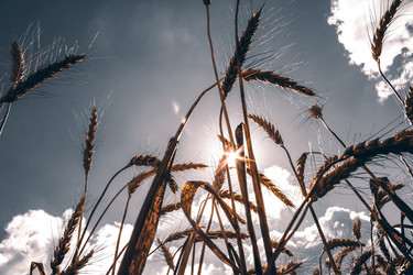 Similar image 21455177