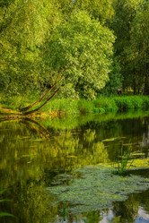 Similar image 21455307