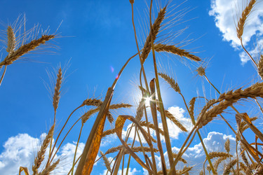 Similar image 21455308