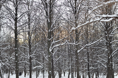 Similar image 21455309