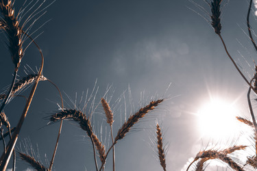 Similar image 21455310