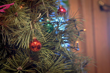 Similar image 21455319