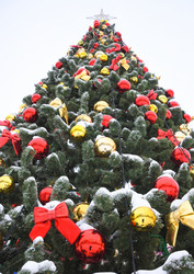 Similar image 21455323