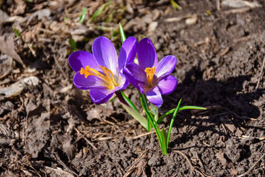 Similar image 21455327