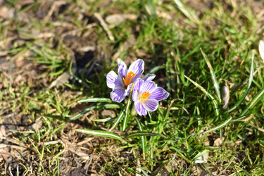 Similar image 21456819