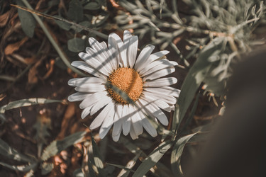 Similar image 21457136