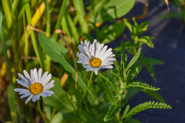 Similar image 21457138