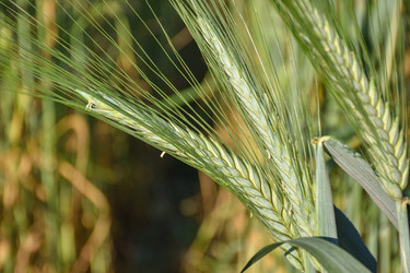 Similar image 21457149