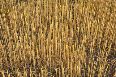 Similar image 21457151