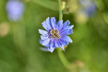 Similar image 21457158