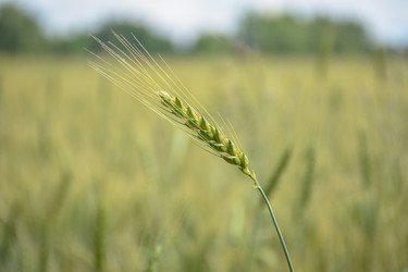 Similar image 21457159