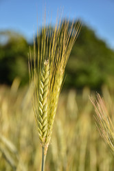 Similar image 21457162