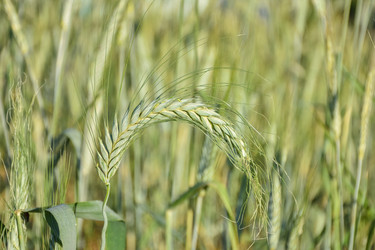 Similar image 21457165