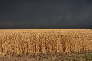 Similar image 21457168