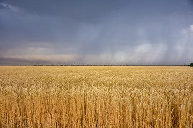 Similar image 21457173