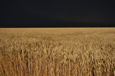 Similar image 21457175