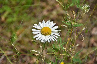 Similar image 21457176