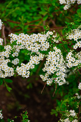 Similar image 21454566