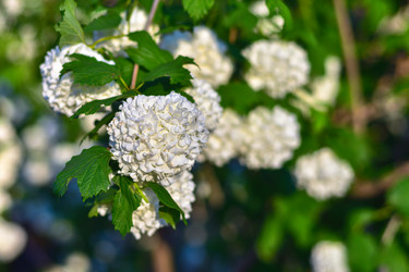 Similar image 21455179