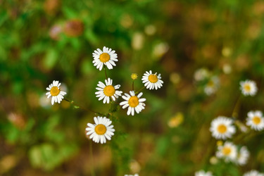 Similar image 21455188