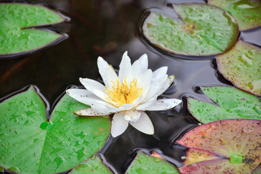 Similar image 21455191