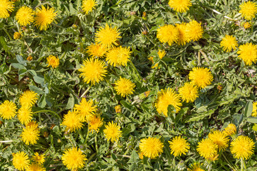 Similar image 21448149