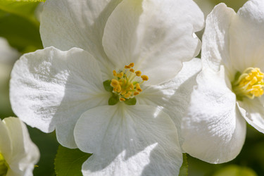 Similar image 21448150