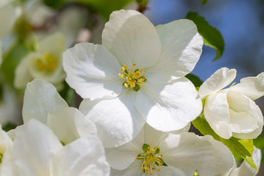 Similar image 21448153