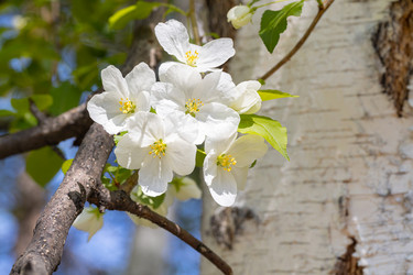 Similar image 21448154