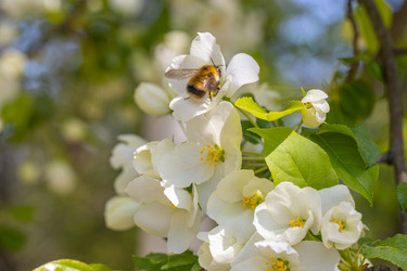 Similar image 21448155