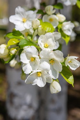 Similar image 21448156