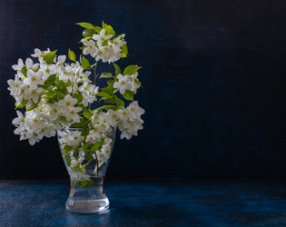 Similar image 21448160