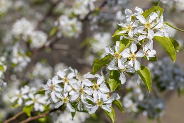 Similar image 21448165