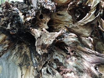 Similar image 21450334