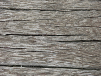 Similar image 21448627