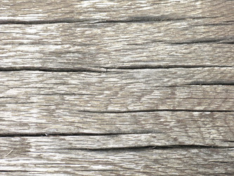 Similar image 21448628